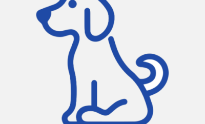 CITYDOG